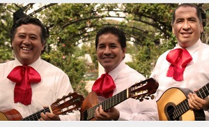 image of Trio Mariachi Jalisco 