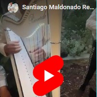 Solo Harpist Santiago M. Reyna de Rio Verde performing at big event. 